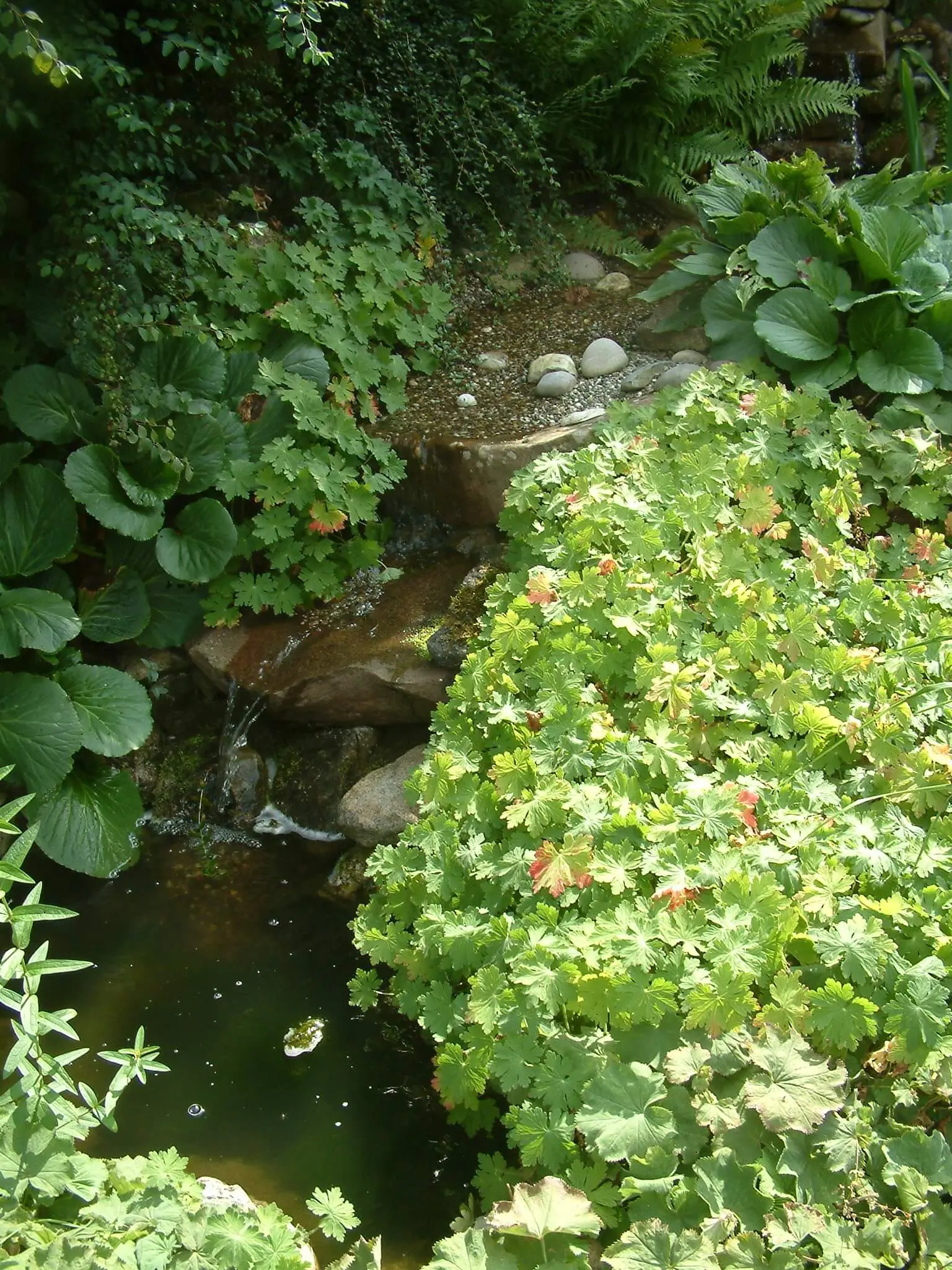 Wasser im Garten wirkt gemütlich: Gartenteich Würzburg