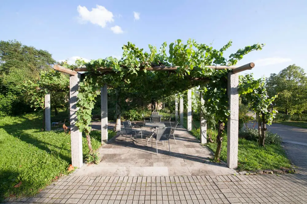 Weinlaube mit Sitzgruppe