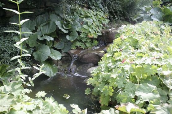 Bachlauf
