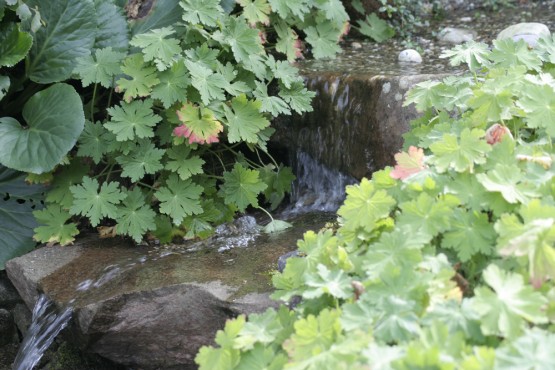 Wasserfall