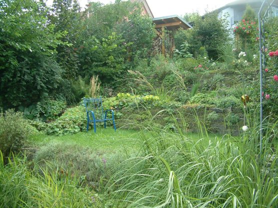 Gemütliches Ufer am Gartenteich